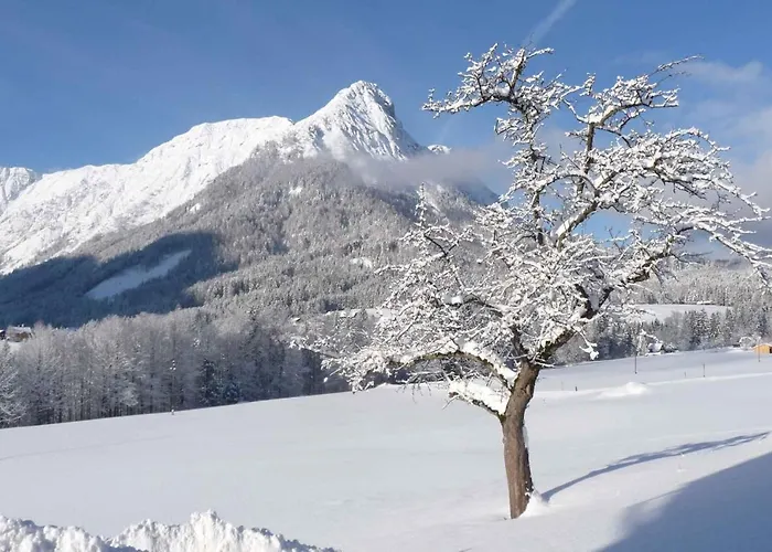 Lejlighed In - Steiermark 428 *